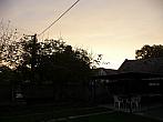 Třibřichy